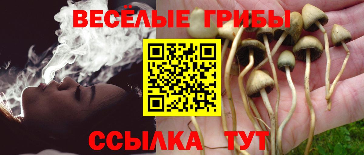 Галлюциногенные грибы мицелий  Галлюциногенные грибы ЛСД  Вход с VPN  Люберцы 